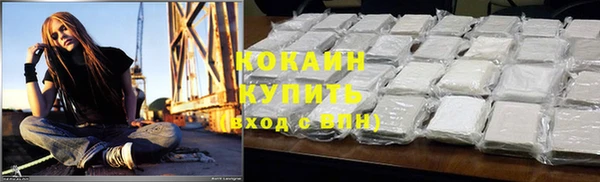 apvp Магас
