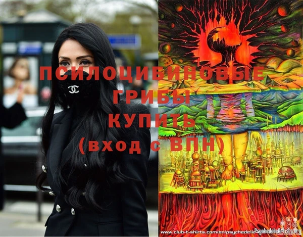 стафф Магадан