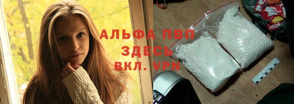 стафф Магадан