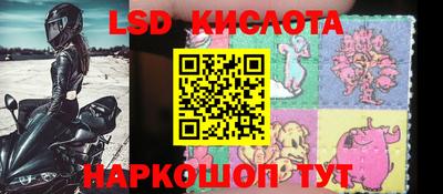 спиды Сланцы