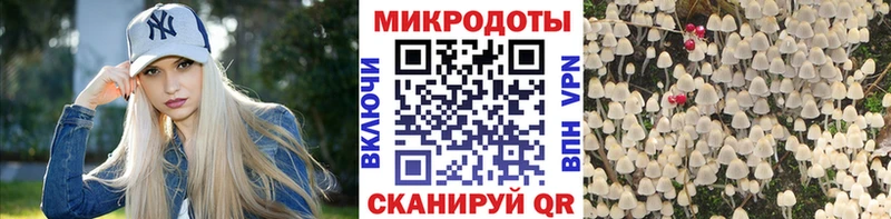 сколько стоит  Узловая  OMG ТОР  Псилоцибиновые грибы Magic Shrooms 