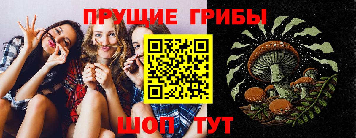 купить наркоту  Вход с VPN  Узловая  Псилоцибиновые грибы Psilocybe 