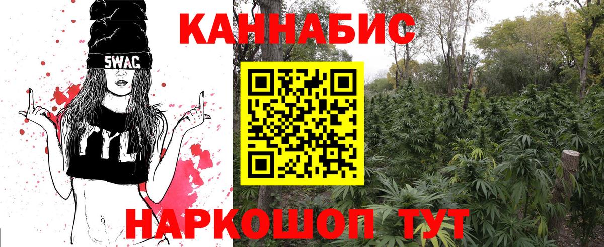 Конопля индика Узловая